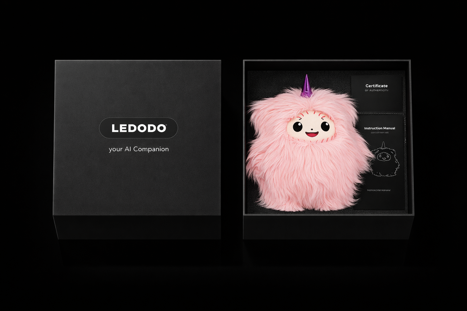 Ledodo Packaging Experience